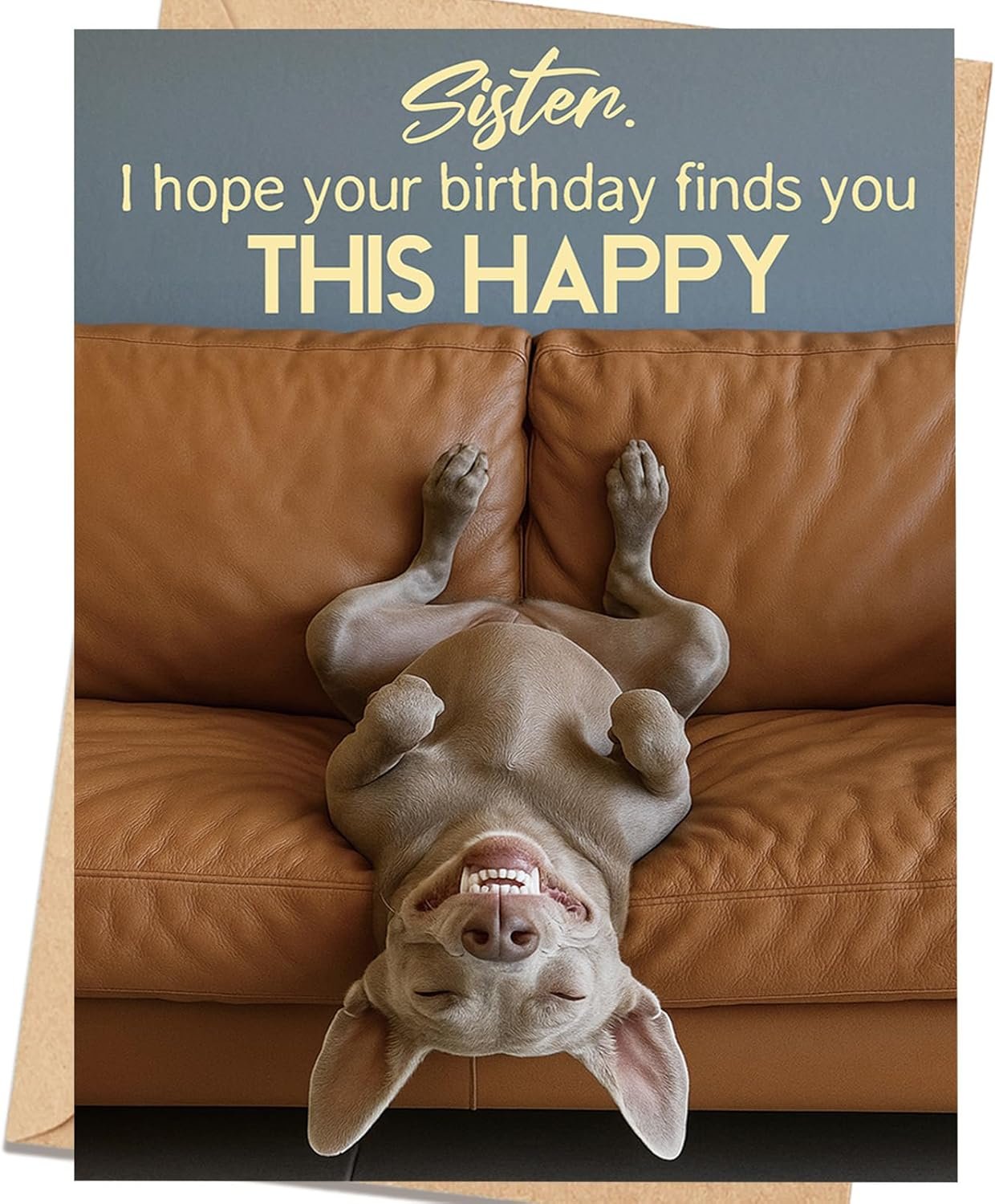 Sister Birthday Card, Happy Birthday Gift for Sister